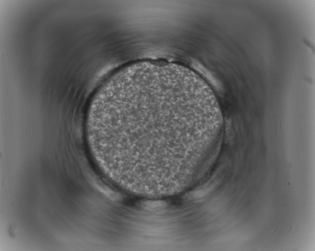 X0000097500203200803142027