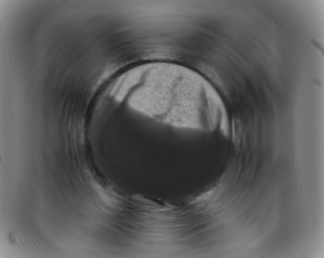 X0000097500204200803142027