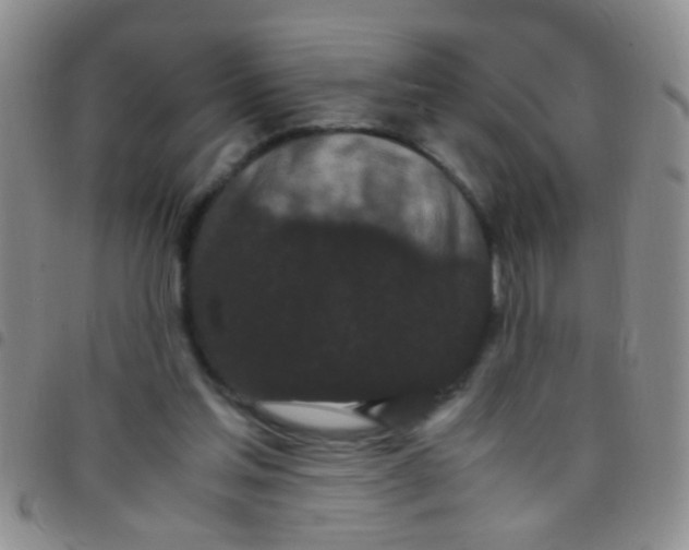 X0000097500205200803142027