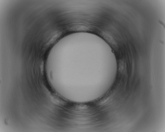 X0000097500206200803142027