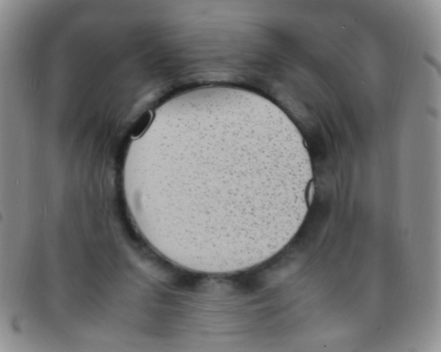 X0000097500207200803142027