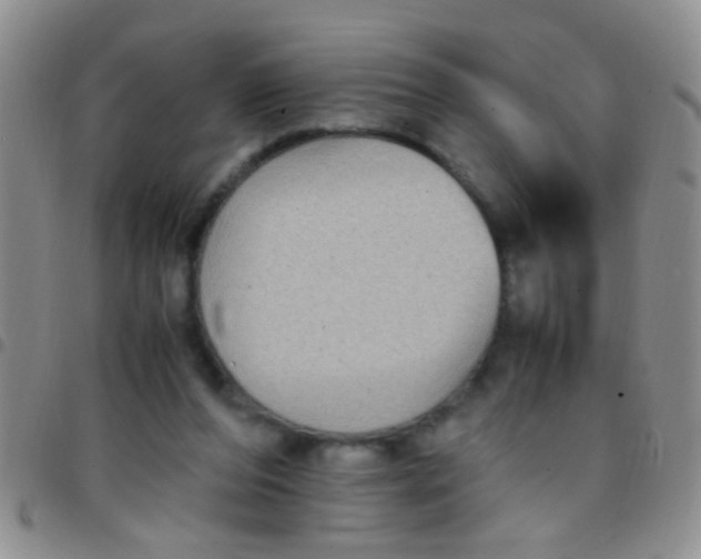 X0000097500208200803142027