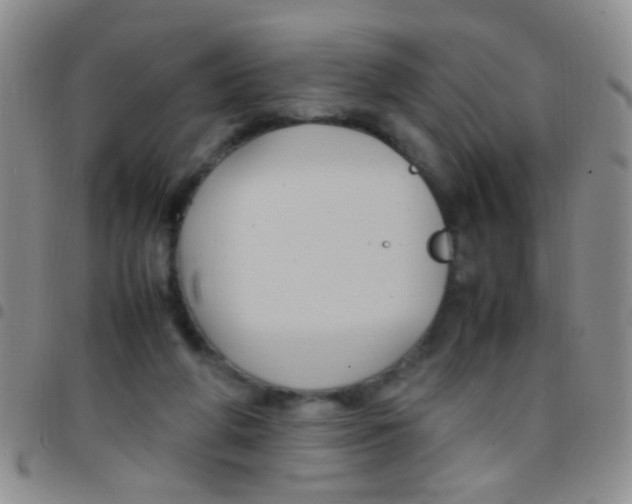 X0000097500210200803142027