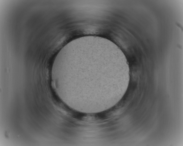 X0000097500211200803142027