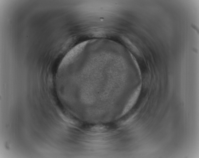 X0000097500213200803142027