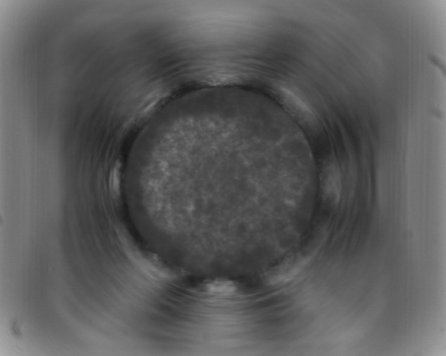 X0000097500214200803142027