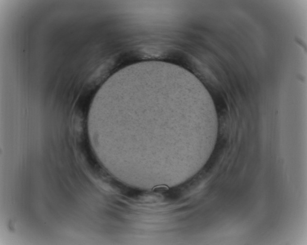 X0000097500215200803142027