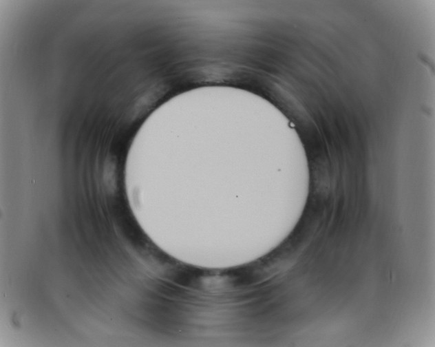 X0000097500216200803142027