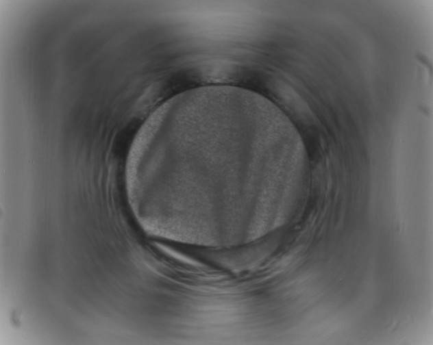 X0000097500217200803142027