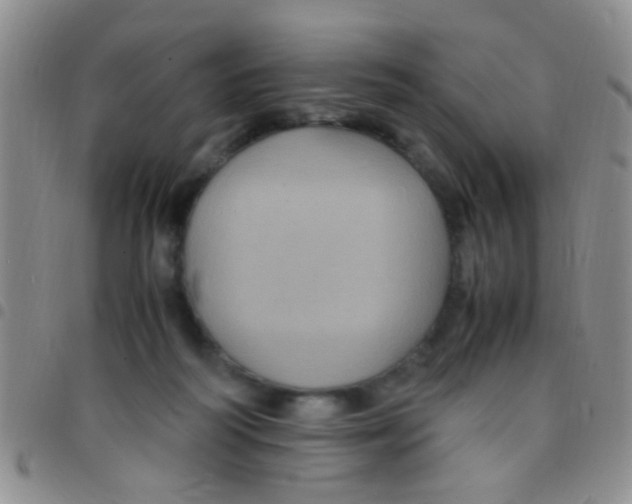 X0000097500218200803142026