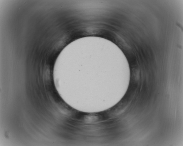 X0000097500220200803142026