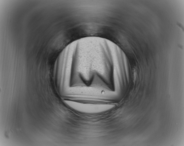 X0000097500221200803142026