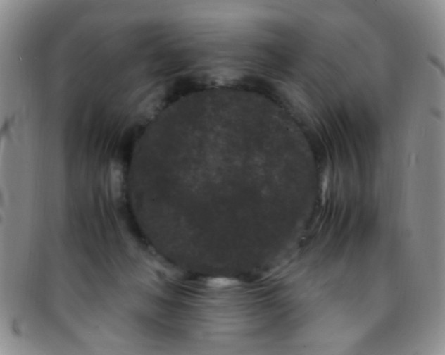 X0000097500222200803142026