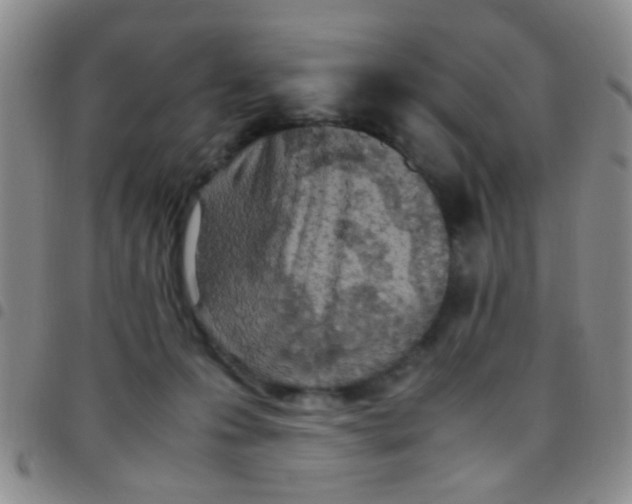 X0000097500223200803142026