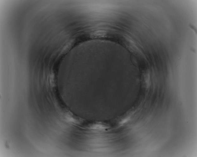 X0000097500224200803142026