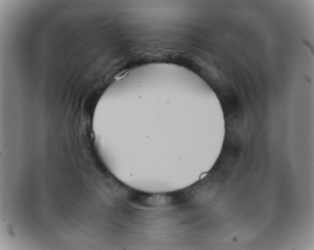 X0000097500225200803142026