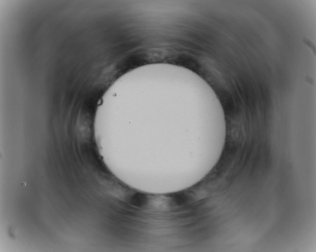 X0000097500226200803142026