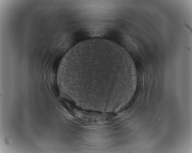 X0000097500227200803142026