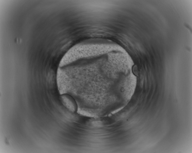 X0000097500228200803142026