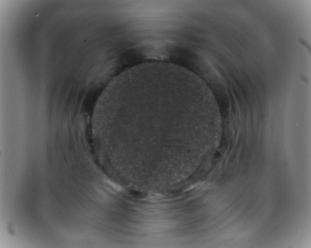 X0000097500229200803142026