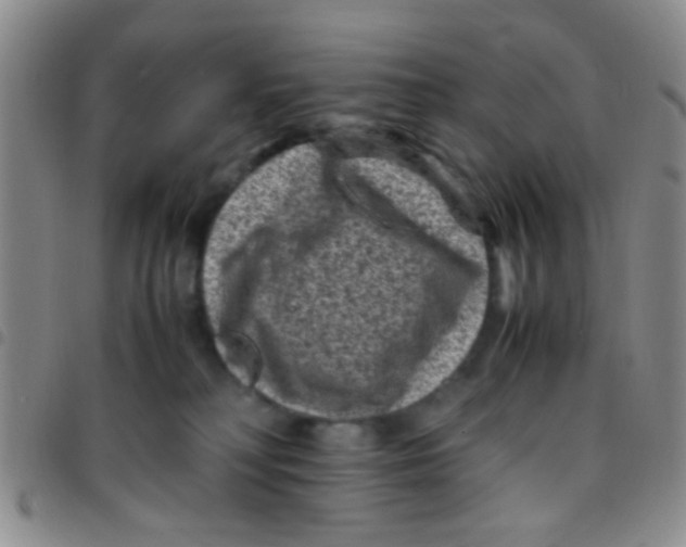 X0000097500230200803142026