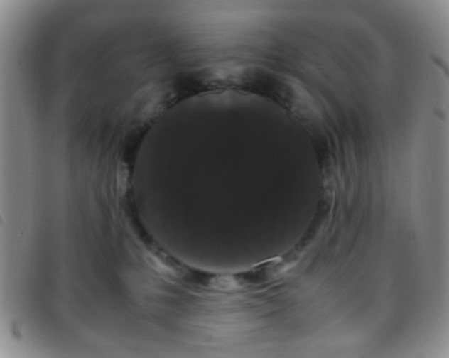 X0000097500231200803142026