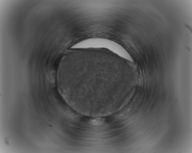 X0000097500232200803142026