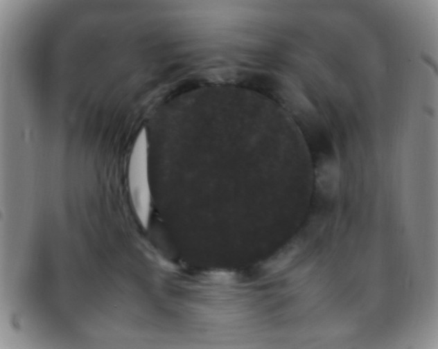 X0000097500233200803142026