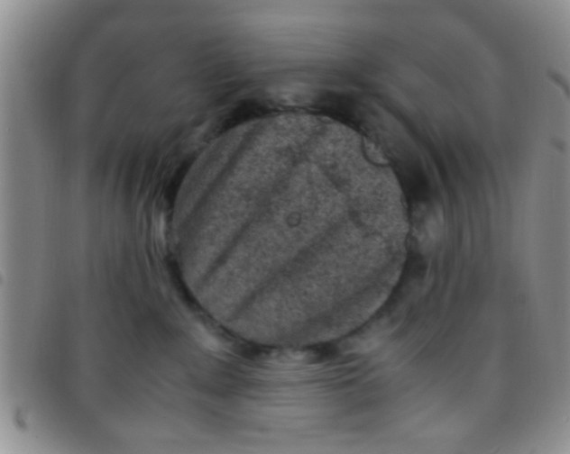 X0000097500235200803142026