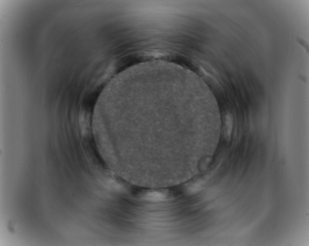 X0000097500236200803142026