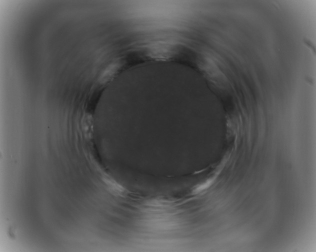 X0000097500237200803142026