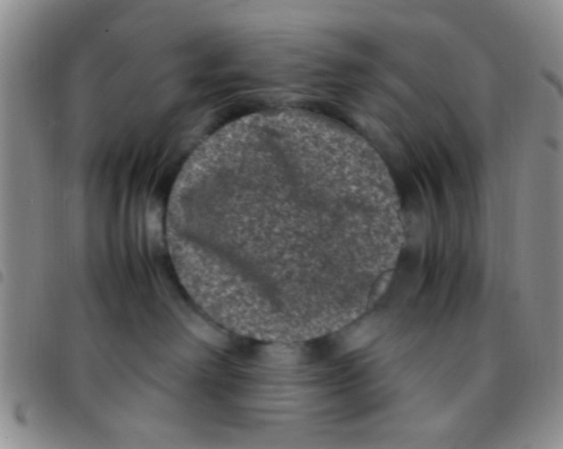 X0000097500238200803142026