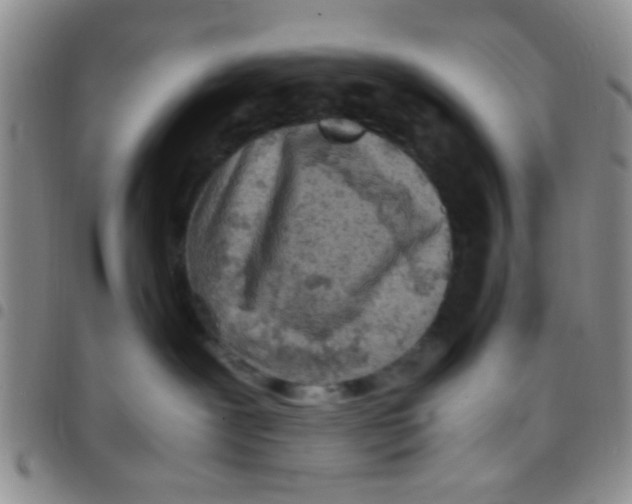 X0000097500239200803142026