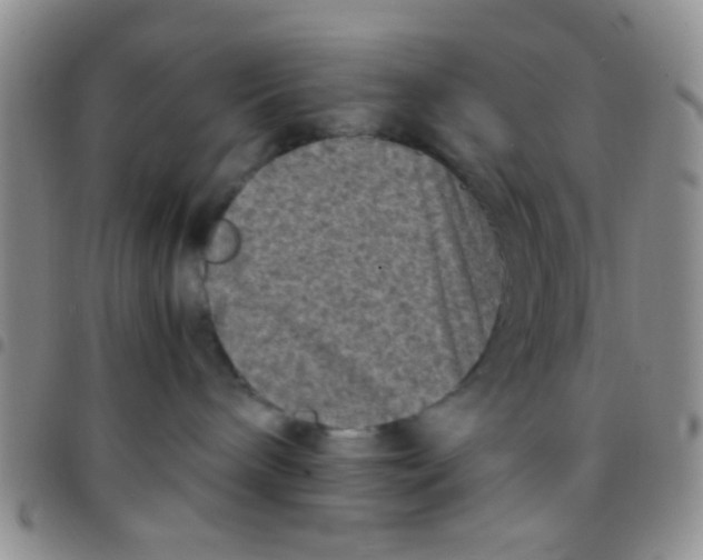 X0000097500240200803142026