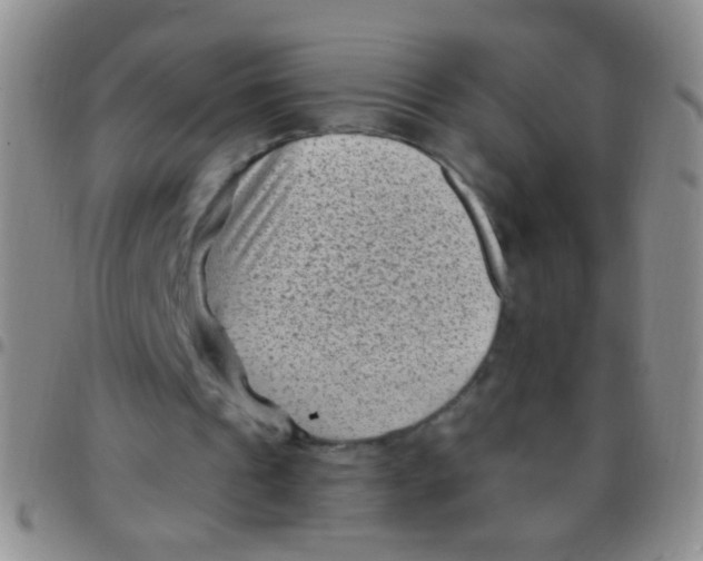 X0000097500241200803142026