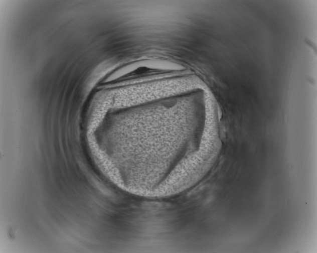 X0000097500242200803142026