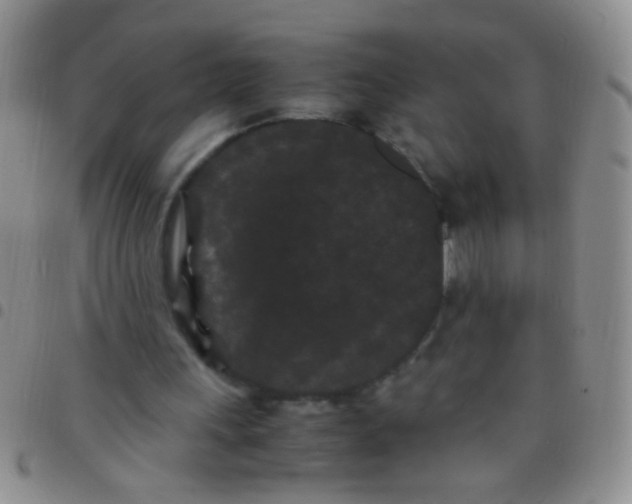 X0000097500243200803142026