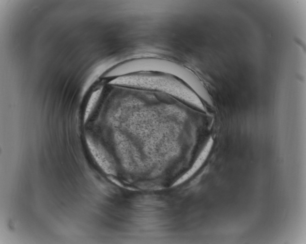 X0000097500244200803142026