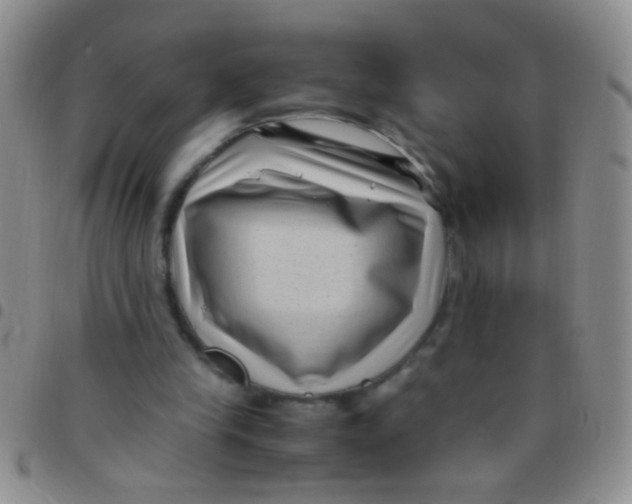 X0000097500245200803142026