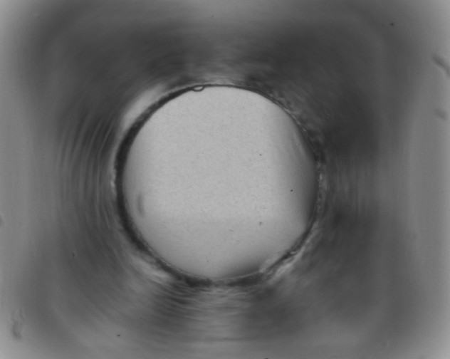 X0000097500246200803142026