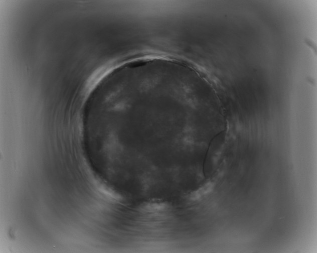 X0000097500247200803142026