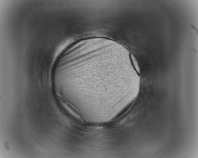 X0000097500248200803142026