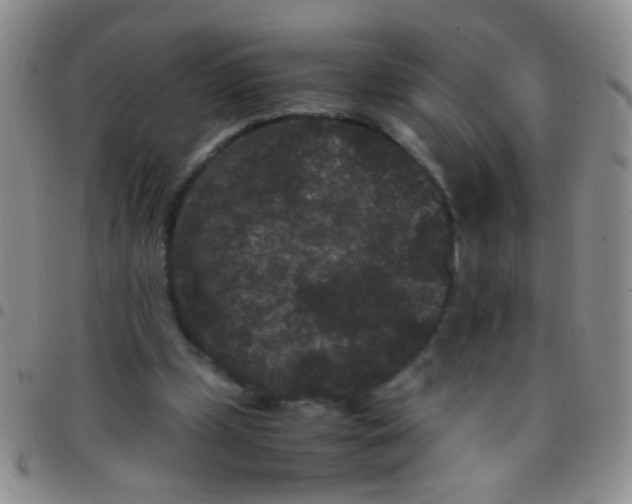 X0000097500249200803142026