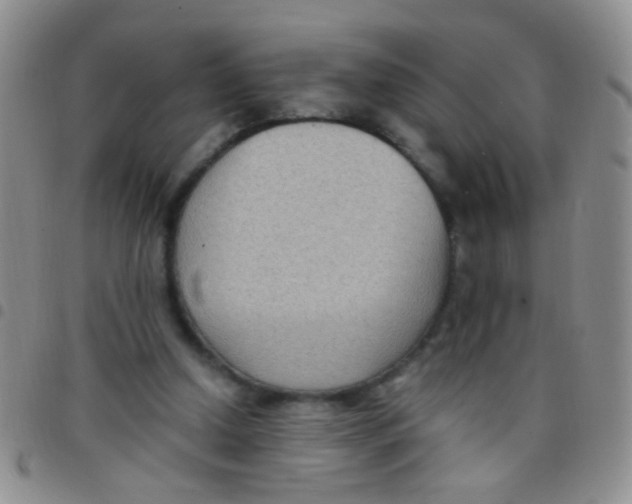 X0000097500250200803142026