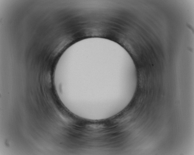 X0000097500251200803142026