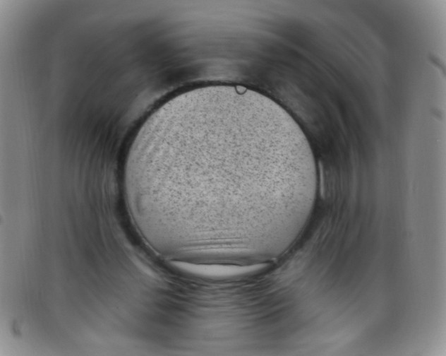 X0000097500252200803142026