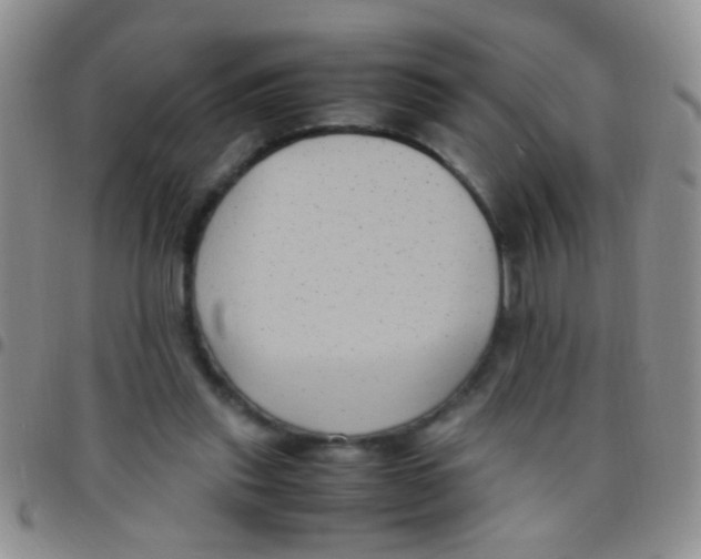 X0000097500253200803142026