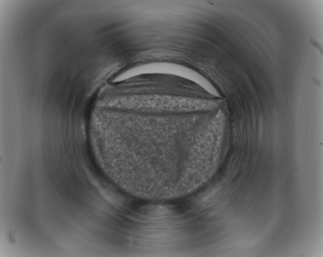 X0000097500254200803142026