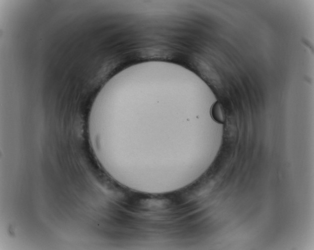 X0000097500255200803142026