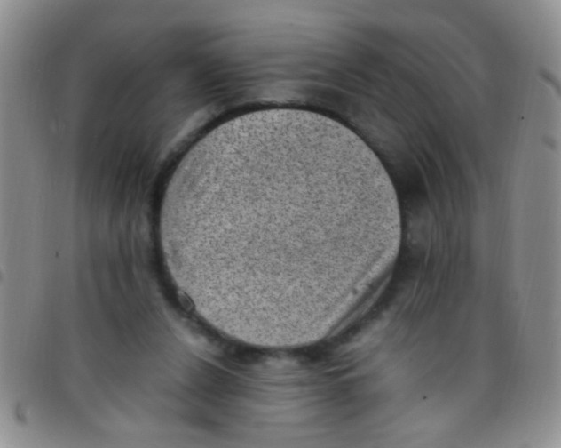 X0000097500256200803142026